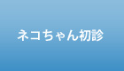 ネコちゃん初診