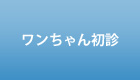 ワンちゃん初診