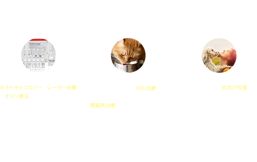別な治療法にトライしませんか