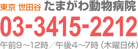 0334152212