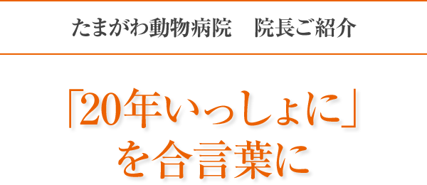 20年一緒に